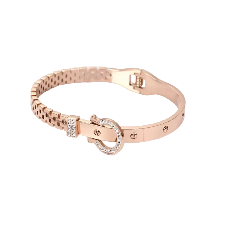 Crystal Buckle Titanium Steel Bracelet