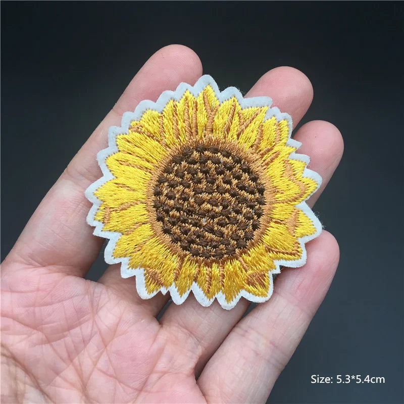 Sunflower patch held in a hand with a dark background