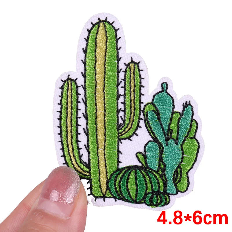 Cactus patch held by a hand with size indication on a white background