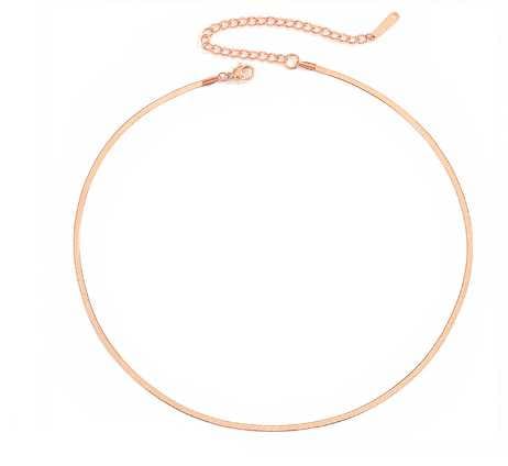 BROOCHITON Necklaces Rose Gold / 2mm / 35cm Titanium Steel Titanium Steel Flat Snake Bone Chain Necklace