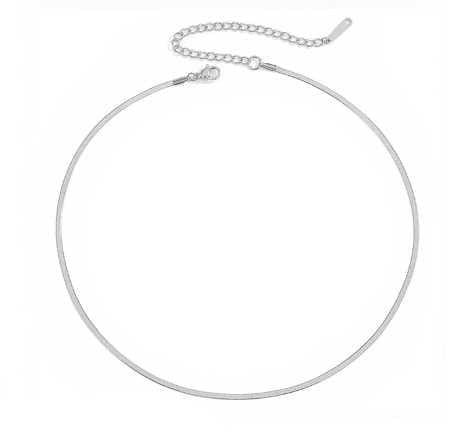 BROOCHITON Necklaces Silver / 2mm / 35cm Titanium Steel Titanium Steel Flat Snake Bone Chain Necklace